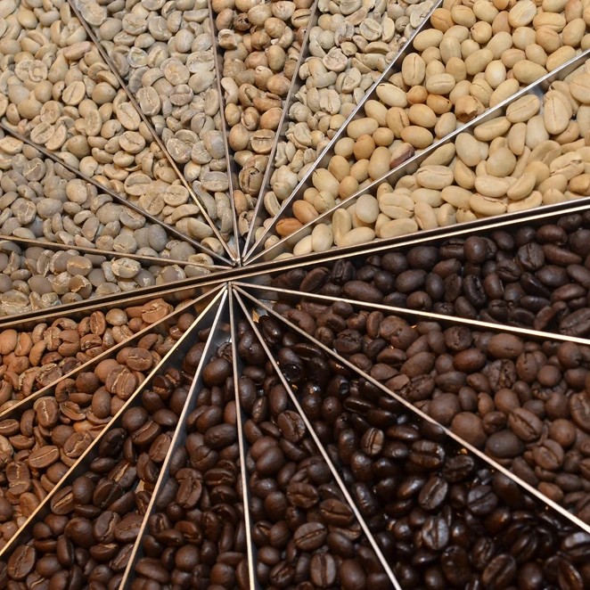  Оптовая продажа вьетнамский КОФЕ Robusta S16/ 18 высокого качества