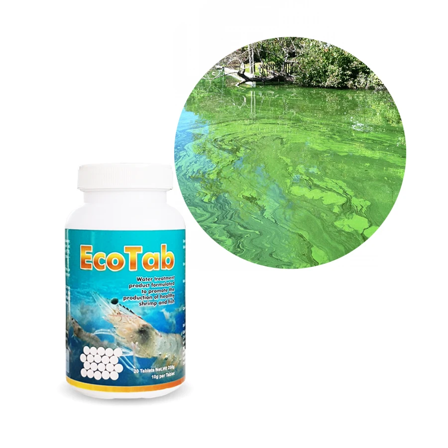 Микробиология уменьшает осадка в пруду и отходы-EcoTab-10 таблеток-10 г на таблетку