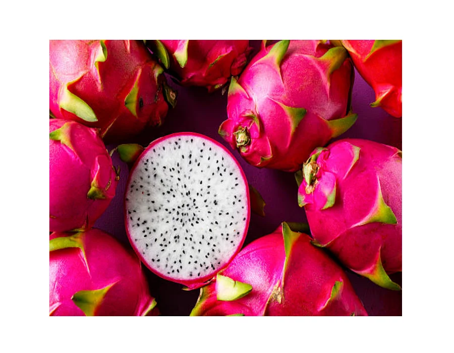 HOT SALE - Vietnam Fresh Red / White Dragon Fruit - High Quality for Sweet Dragon Fruit at Cheap Price