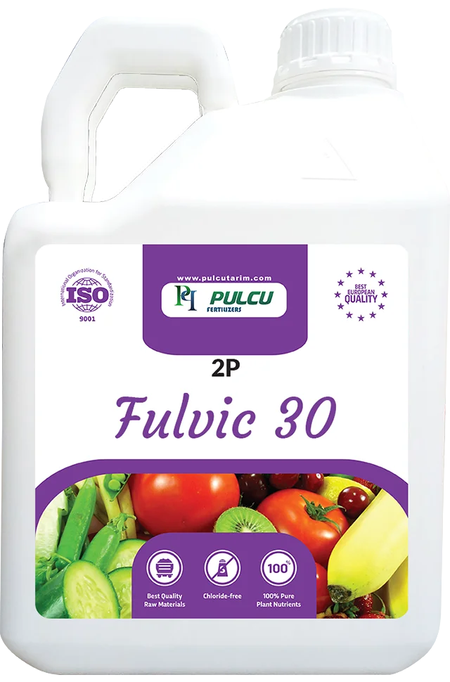 2P Fulvic 30.png