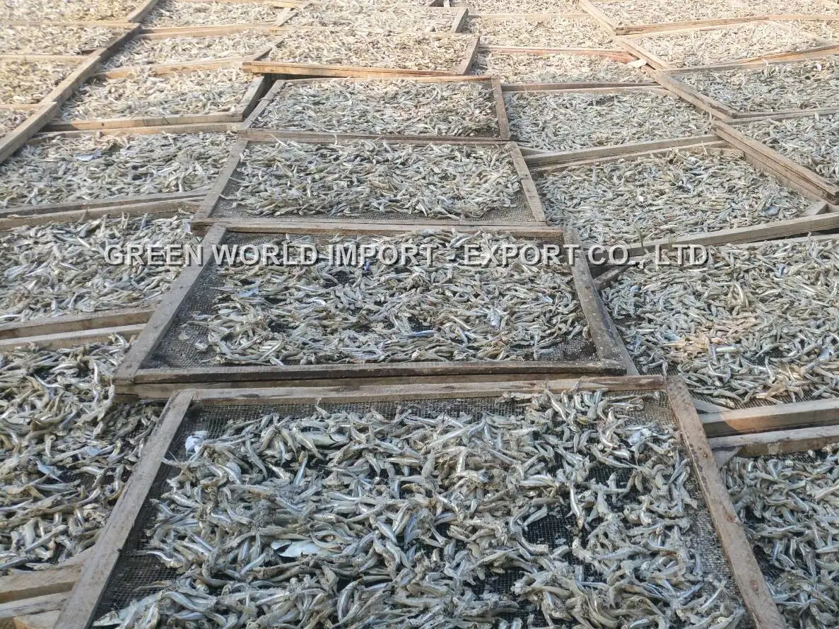 THE FINEST QUALITY OF DRIED ANCHOVY FROM VIETNAM WITH AN IMPRESSIVE PRICE - NATURAL SUNDRY & NUTRITIOUS FOR HEALTH