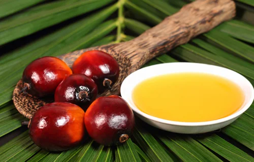 RBD Palm Oil For Sale | Buy RBD Palm Oil online distributors