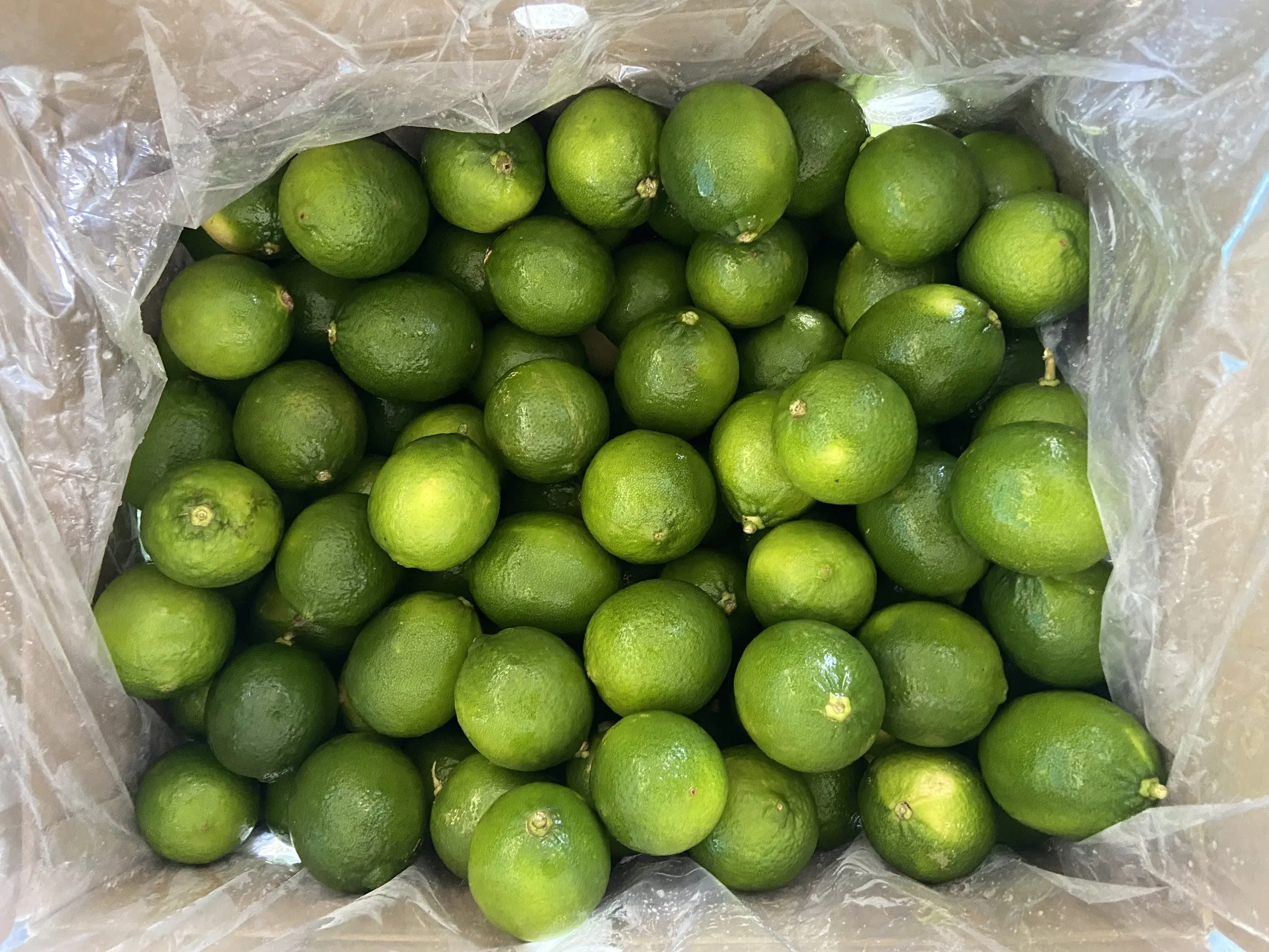 Lemon export good price/100% Natural/ Fresh Green Seedless Lemons from Vietnam/Jolene HH +84336089155