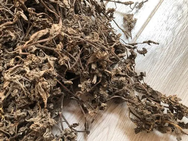 Sales price of raw dried mesona chinensis / jelly grass/ Chin Chou p