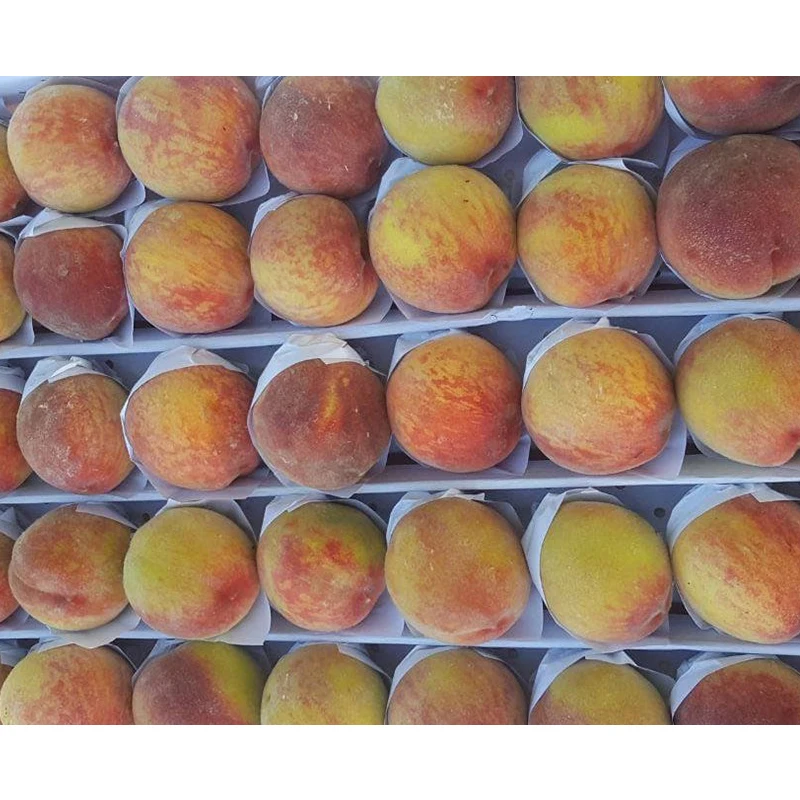 Fresh Peach Available