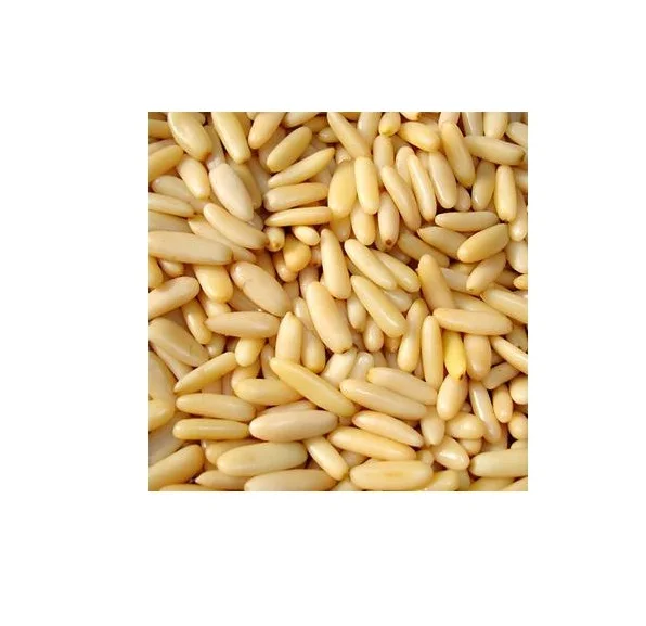 Wholesale Best Quality Pine Nuts For Sale In Cheap Price