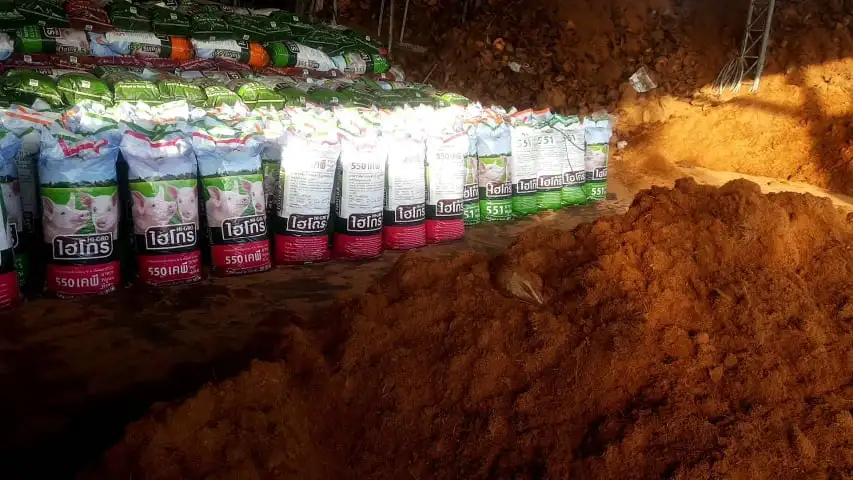 
Organic Natural Brown Coconut Peat Powder For All Season With High Quality 