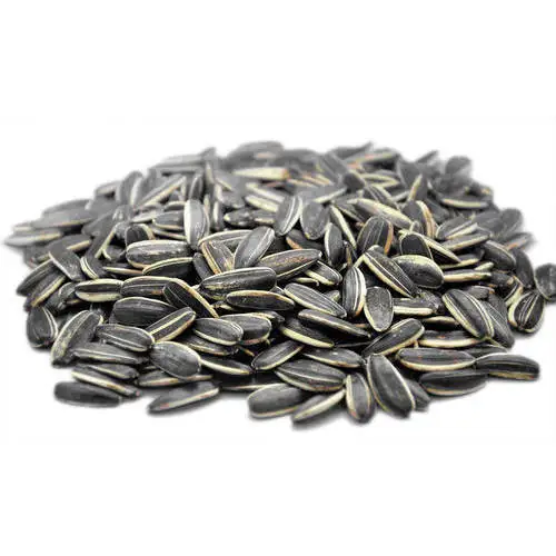  Certified Sunflower Seed Kernels Bakery Grade In
