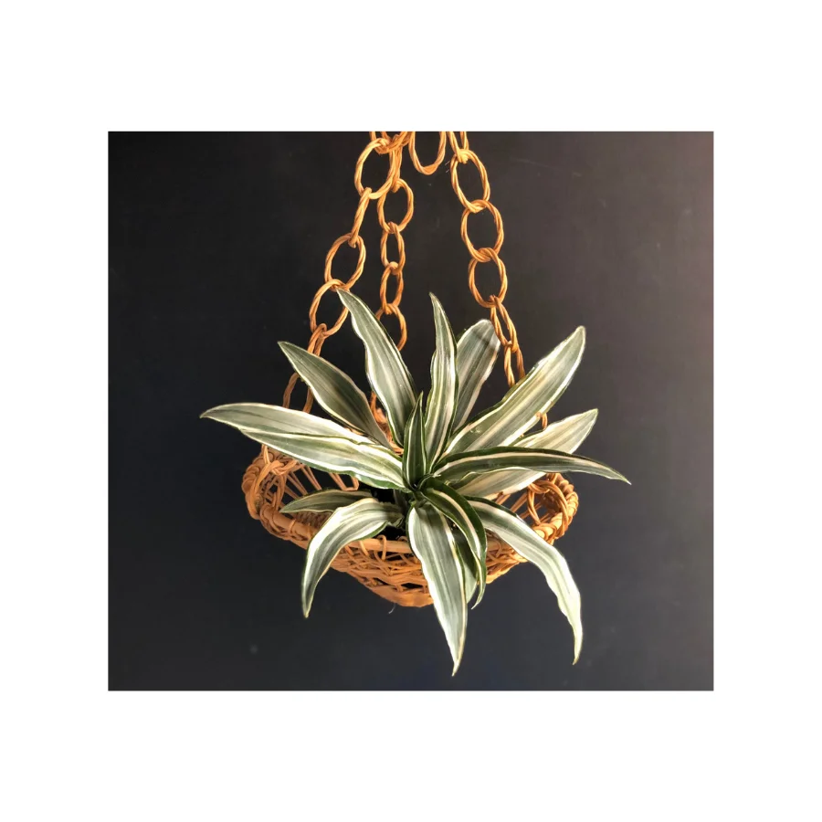 VietNam New Product Handwoven Plant Pot 100% Natural Rattan Planter Wholesale from King Craft Viet Supplier