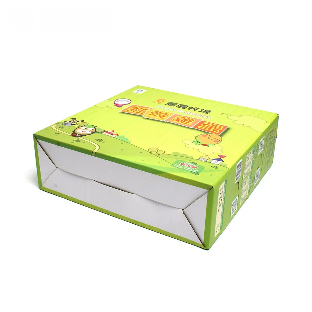 Custom Printed Sturdy Corrugated Tall Gable Paper Boxes with Handle