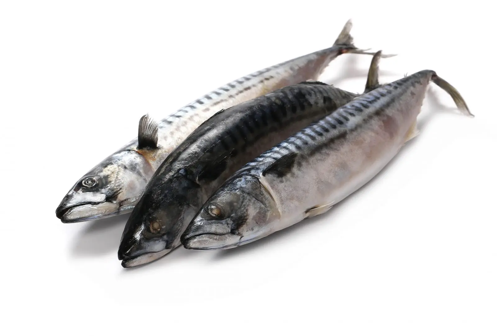 Премиум замороженная скумбрия оптом горячая Распродажа морепродуктов цельная Тихоокеанская рыба для консервных