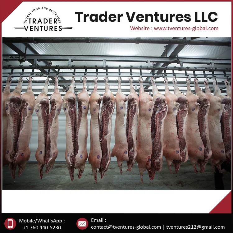 Brazilian Frozen Pork Trust Supplier