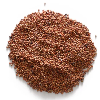 Зернистый сорго лучшее качество выглядит покупателем