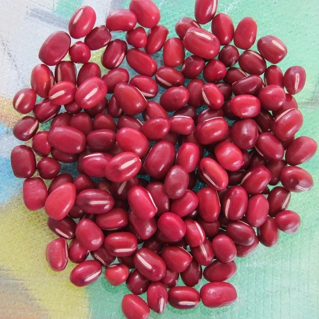 Оптовая продажа органические зеленые бобы красные черные соевые