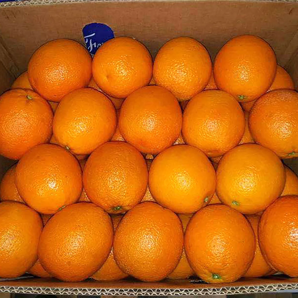 National fruit orange for 100% fruit juice fresh quince fruits