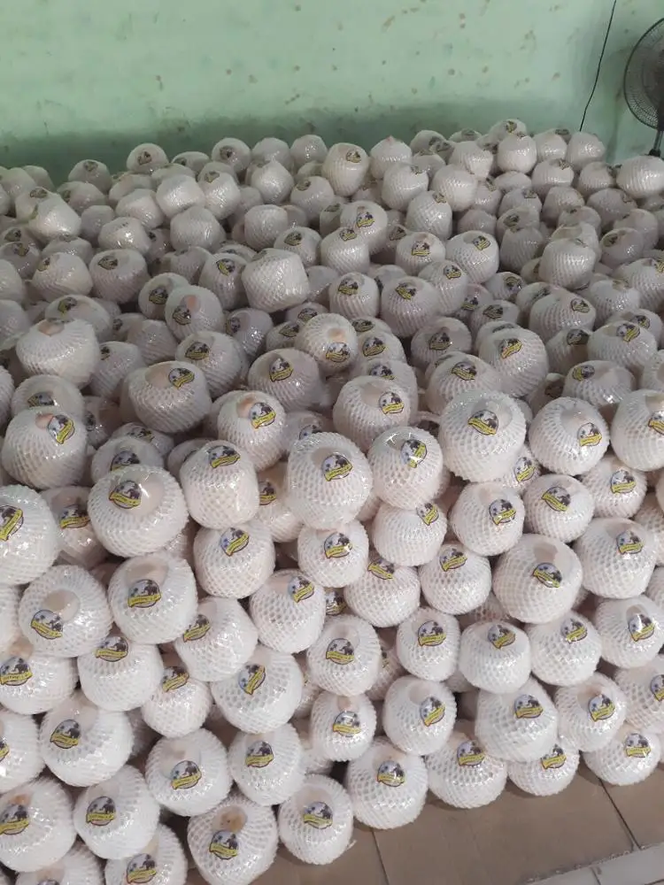 
Young coconut / Young fresh coconut Vietnam 