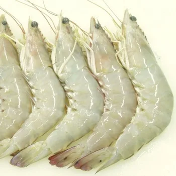 
Fresh Tiger Prawns/Wild Shrimps/Chilled Seafood! 