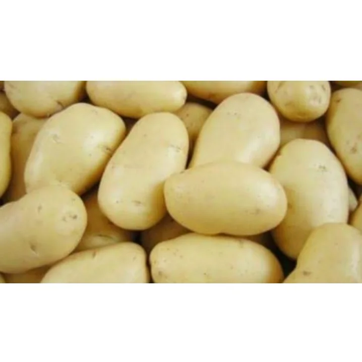 
Superior Quality Competitive Price Organic Healthy Quality Round Fresh Yellow Skin Potato D7 