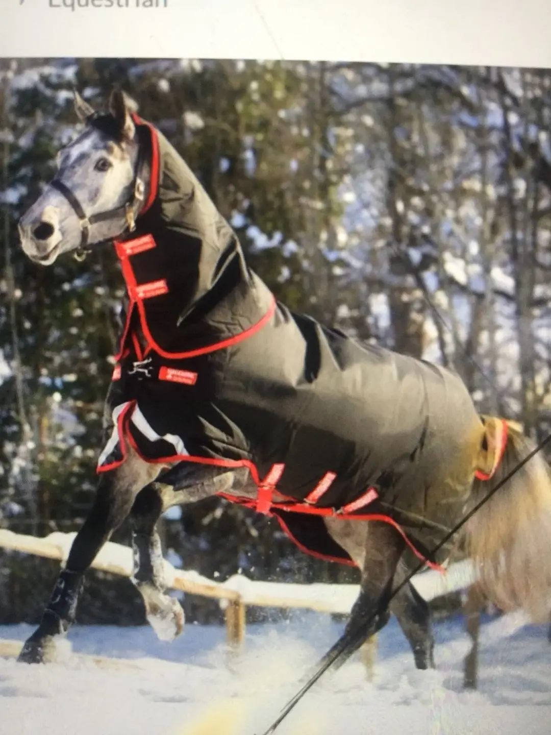 
horse rugs 