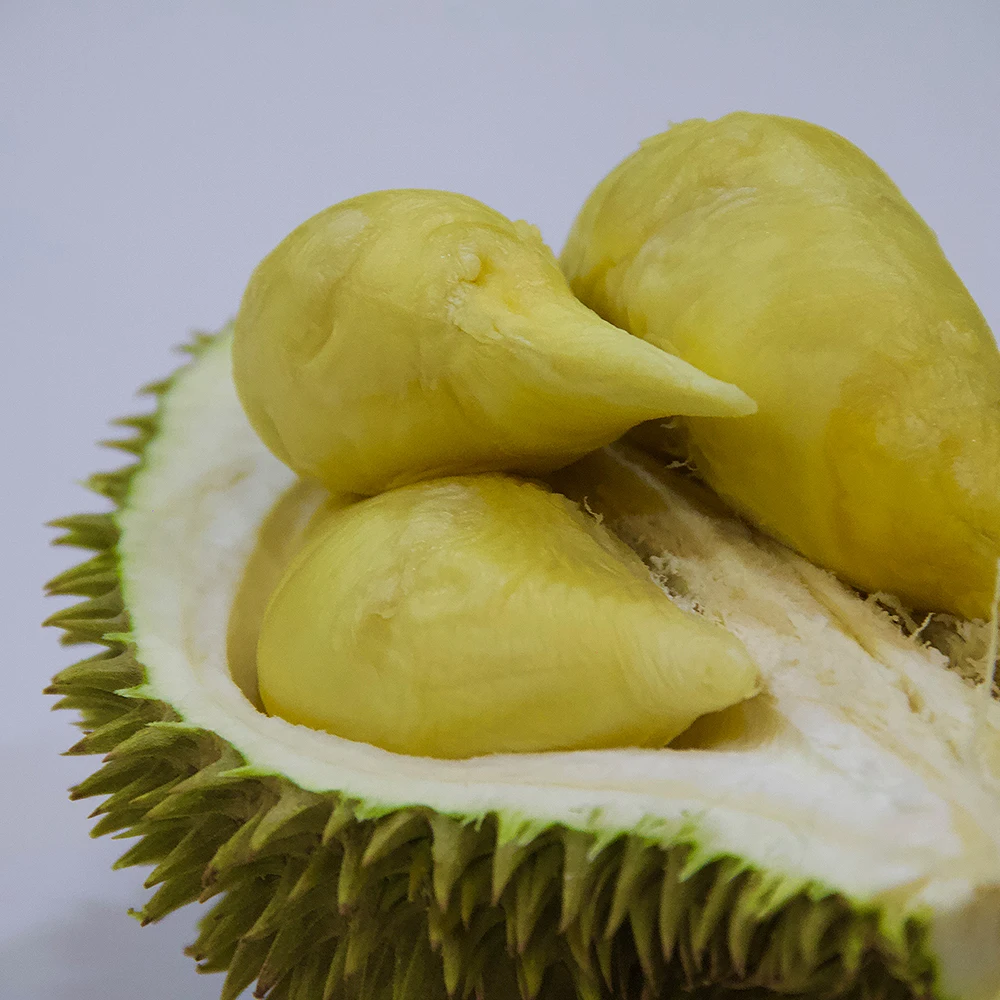 
Malaysia Top Selling 100% Fresh Durian D24 Fruit 