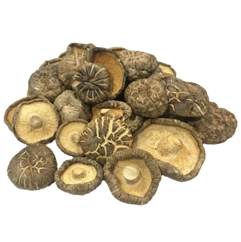 
Premium Grade Dried Shiitake Mushroom A5 