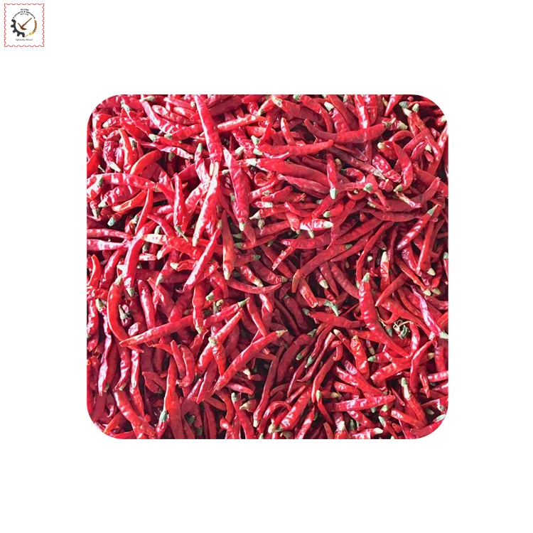 Chillies Stemcut Hot and Spicy Widely Selling Teja/s17 Dry Red AD Chilli & Pepper Cool Dry Warehouse Single Herbs & Spices Raw