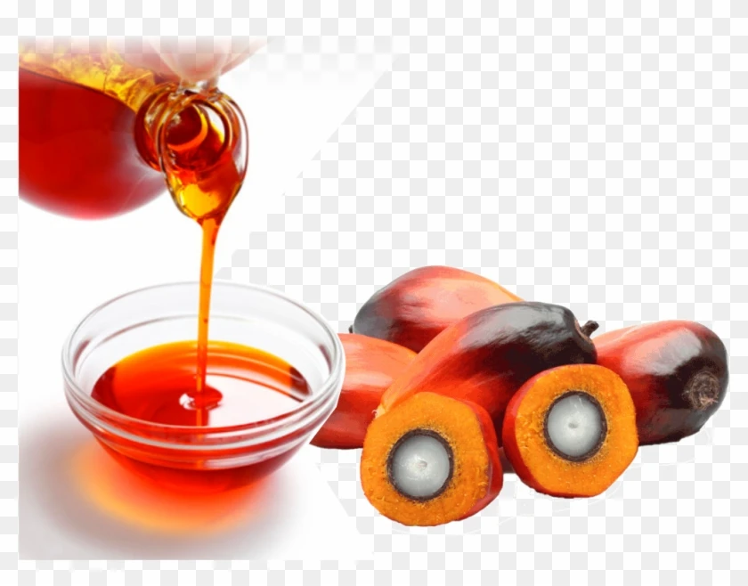 Vegetable Cooking Oil CP6 - CP8 - CP10 Refined bleached deodorized palm olein oil 100% Food grade manufacturer