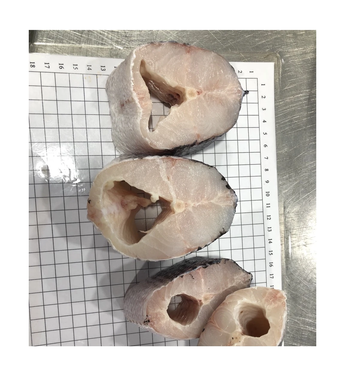 
BEST PRICE! Frozen Giant Snakehead steak from Vietnam 