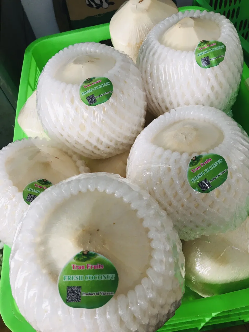 High Quality Wholesale Mild Sweet Taste Of Water Fresh Coconut With 25 Days Shelf Life From West Of Vietnam