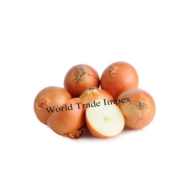 
best quality wholesale fresh yellow onion 