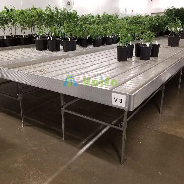4x8 Plastic Grow Tables Hydroponic Greenhouse Rolling Benches For Sale In Israel