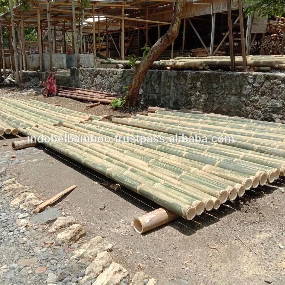 
Bamboo Poles Natural Straight for Construction 3m (Non Treated) 