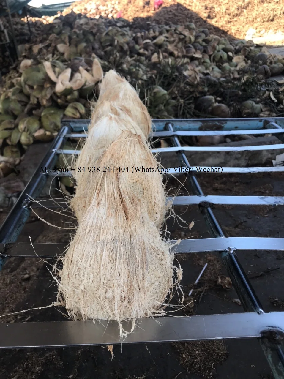 Vietnam dry coconut matured semi husked coconut hot sales