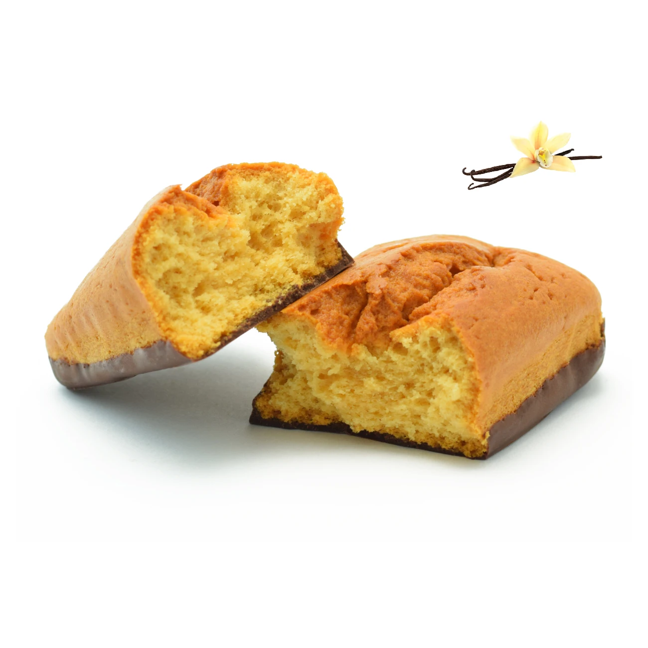 High protein vanilla loaf cakes with 20% chocolate bottom gluten free low calorie snack low carb pastry cakes