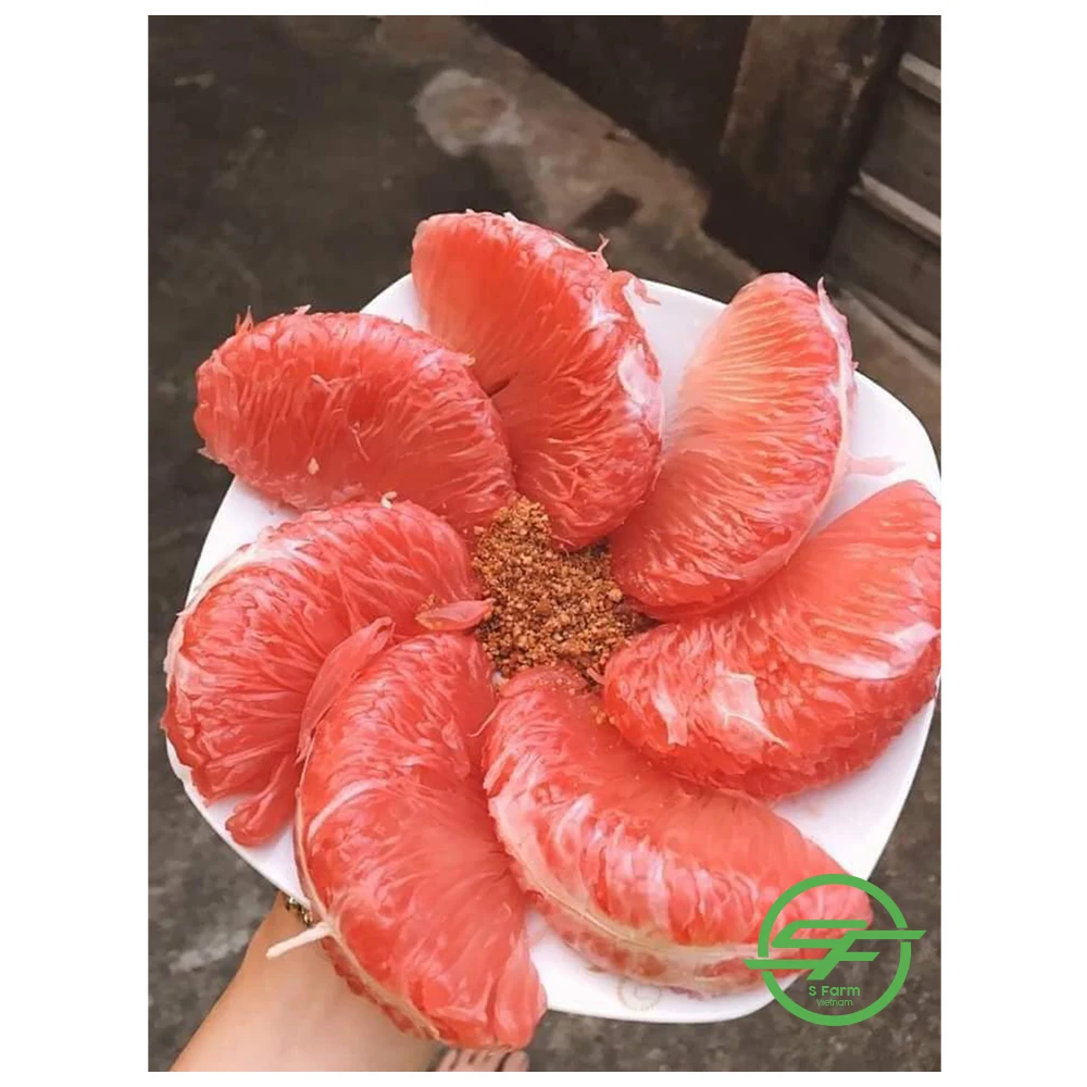 Wholesale Fresh Fruit Pomelo For Export In Bulk