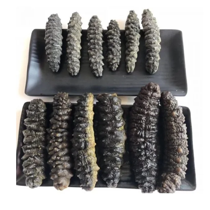 DRIED SEA CUCUMBER HIGH QUALITY WHITE TEAT FISH CHEAP PRICE ELEPHAN TRUNKFISH FROM VIETNAM