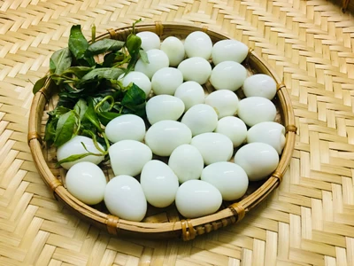 
Competitive price boiled quail egg frozen - best egg food frozen/ Holiday 84 845639639 
