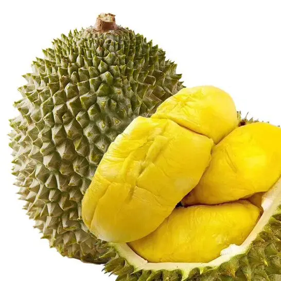 
Fresh Durian Turkey Product Most Delicious Durian 