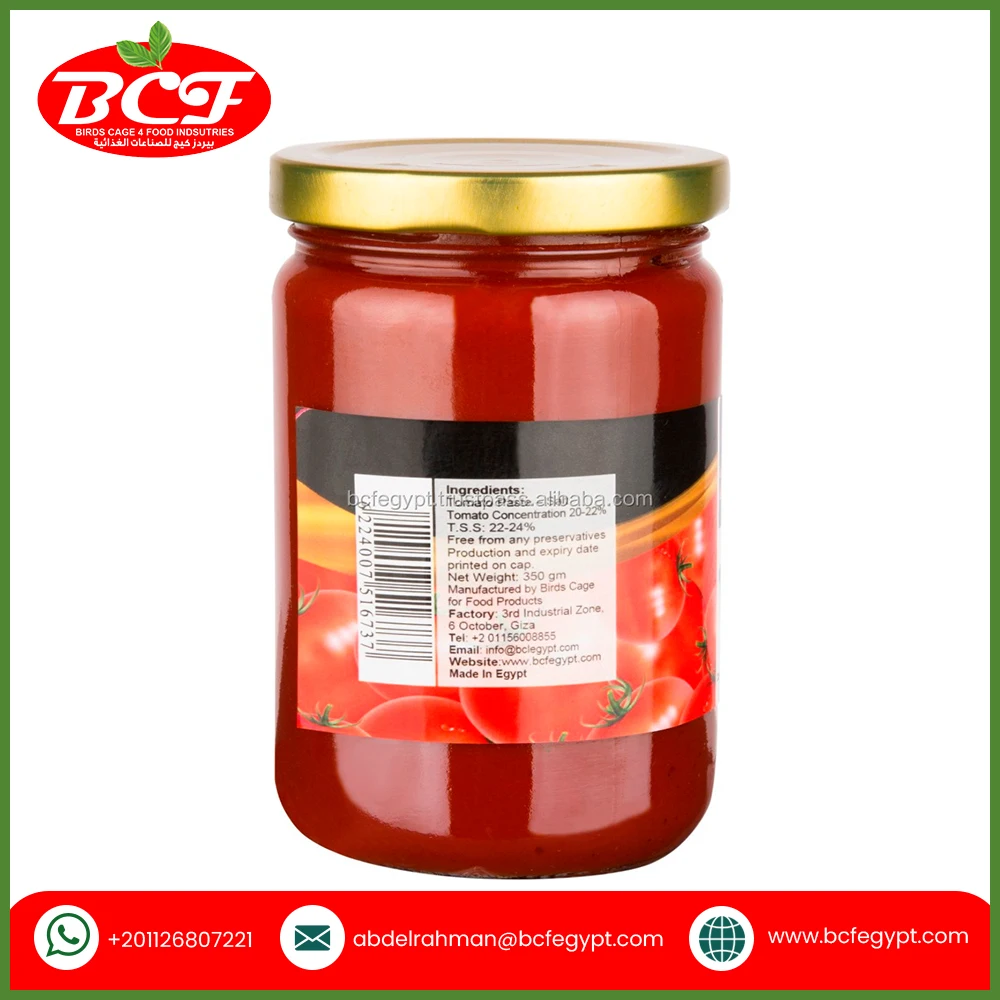 Food Beverage Wholesale Price Zazio Tomato Paste 350g Bulk Tomato Paste