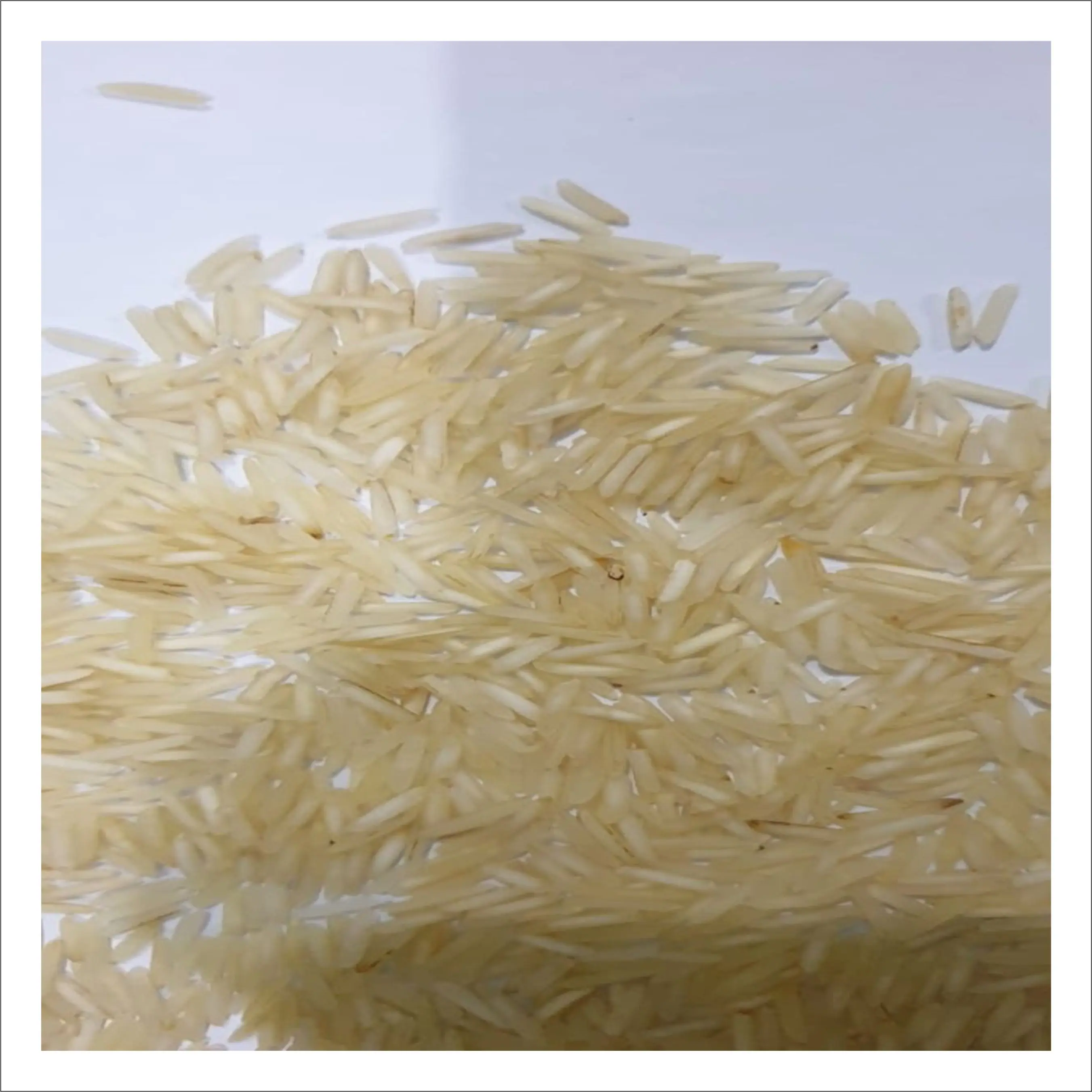 
Extra Long Grain 1121 Golden Sella Basmati Rice Supplier 