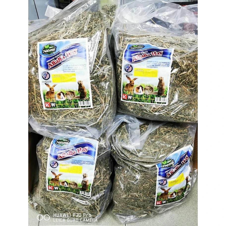 Top Quality  Timothy / Alfalfa HAY FOR SALE
