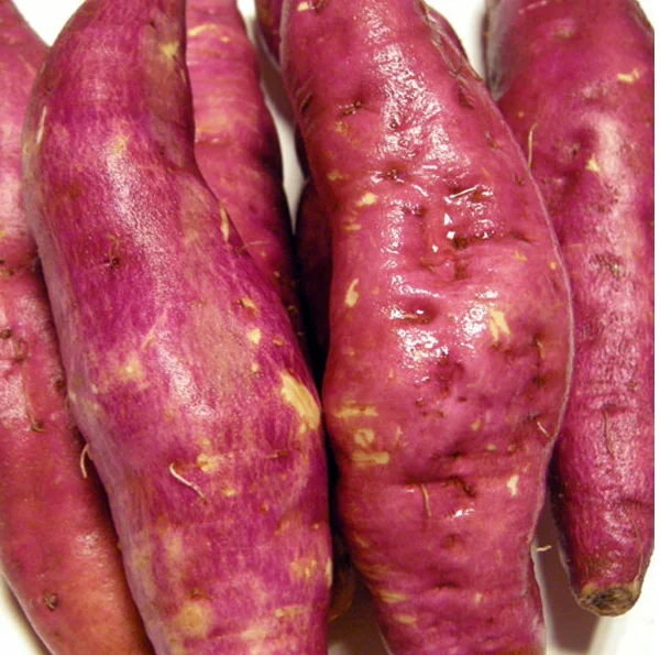 Свежий сладкий картофель с красной кожей и желтым внутренним Вьетнамом/Ms Sofia + 84 789946878