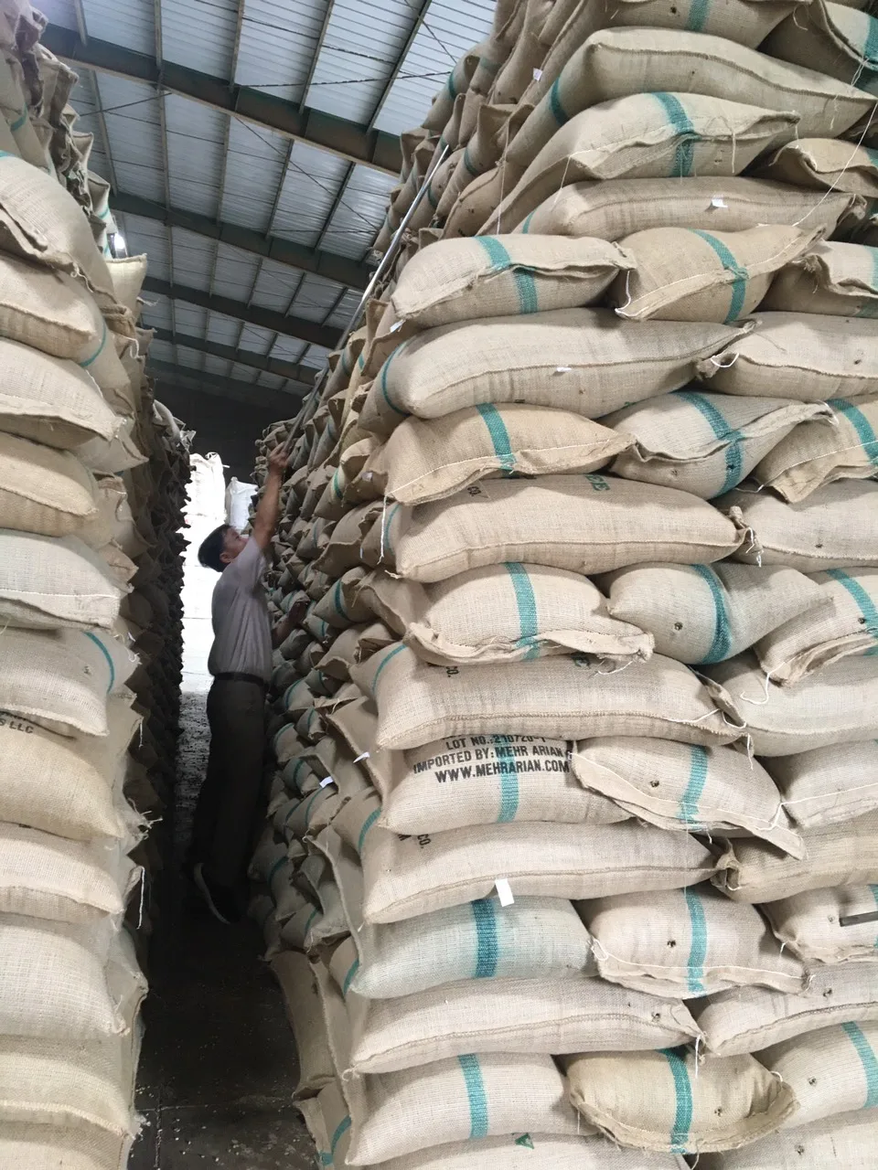 Robusta Coffee S16 faq/cleaned/wet polished green bean SKYPE HANFIMEX08