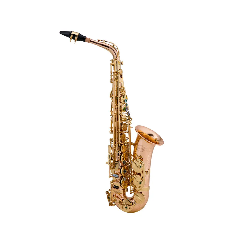 Alto Saxophone wood Instruments Taiwan Saxophone