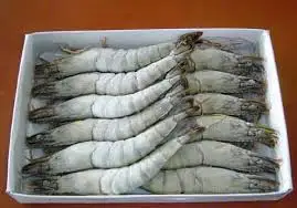 Hot Sale  High Quality Black Tiger Shrimp HOSO from Vietnam Best Supplier
