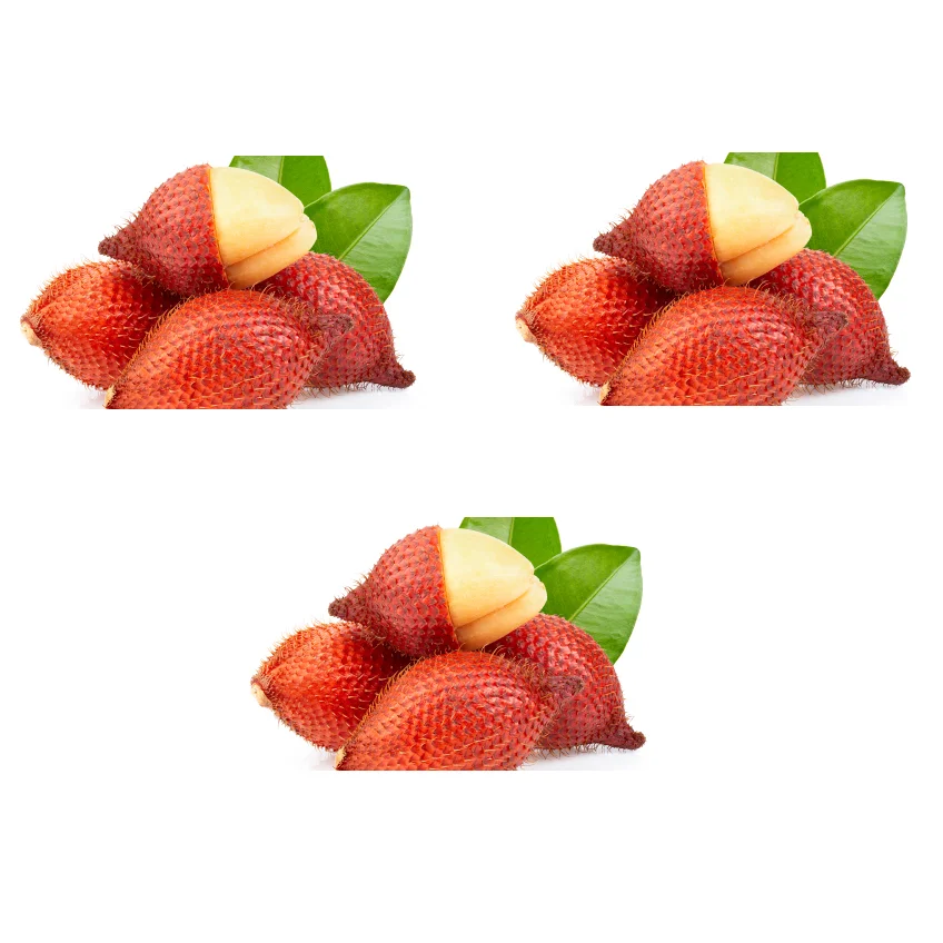 
Healthy Sour and Sweet Convention salak Fruit With Shelf Life 1 month From Thailand 