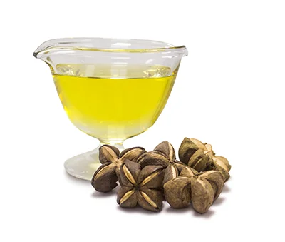 Самое лучшее качество Сача Инчи/Inca Инчи/арахиса Inca масла с высоким содержанием белка и омега из Вьетнама Ms. Люси + 84 929 397 651