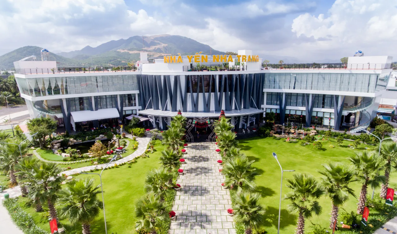 
Swallow Nest Grape Instant Tea Health Care Products High Quality 