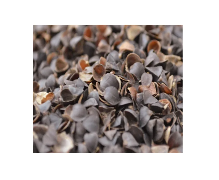 Морская раковина мурекс-оперкулум мурекс улитка сушеная оперкулум из Вьетнама