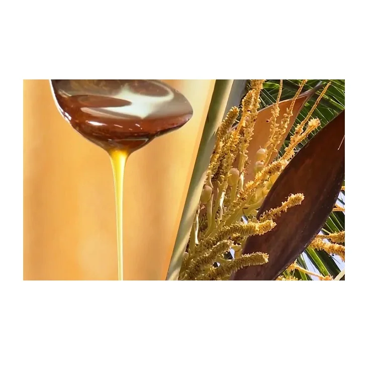 Coconut Nectar Syrup Coconut Sugar Syrup Providing Energy from Vietnam